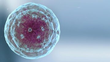 Prescient-Therapeutics-ASX-PTX-oncology-PTX-100-PTX-200-cancer-drugs