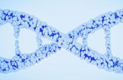 Picture1_03_09_2023_00_47_28_835848