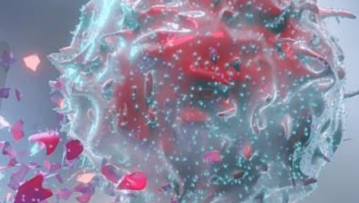 ptx_10jan_01_10_2024_07_40_46_005789-min